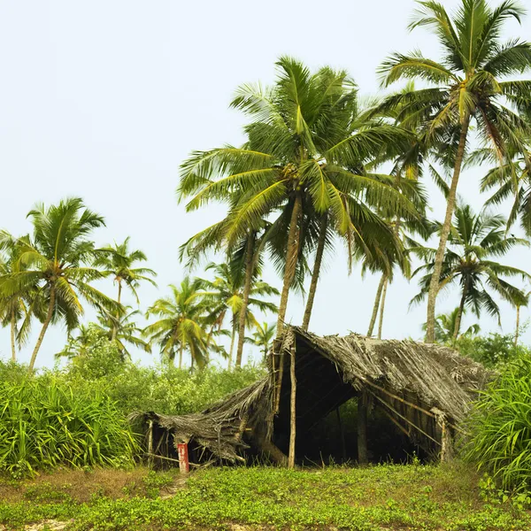 Риболовля хатинка під пальмами — стокове фото
