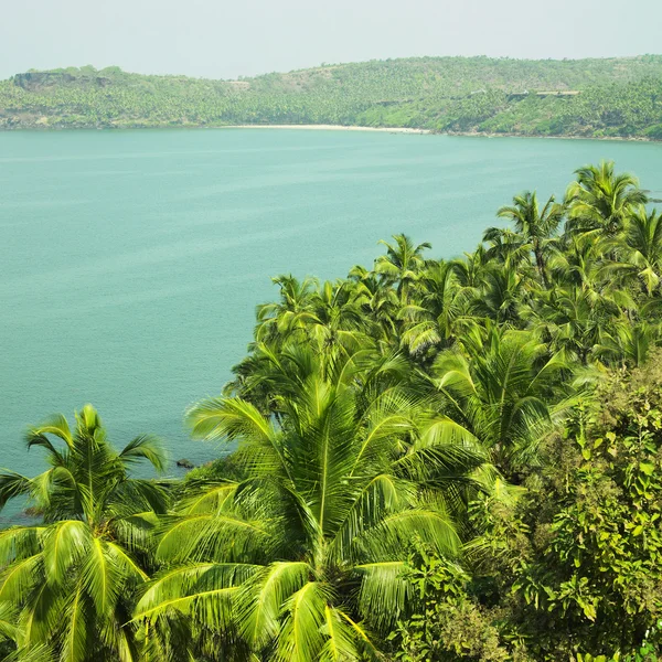 Indische Oceaan en kokospalmen — Stockfoto