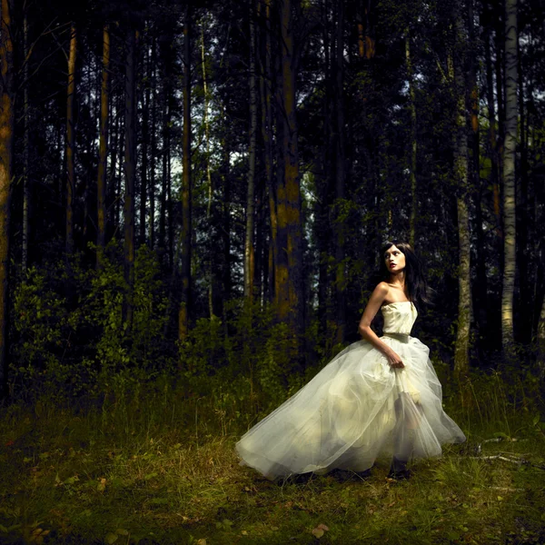 Menina romântica na floresta de fadas — Fotografia de Stock