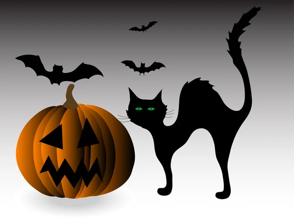 Black cat and pumpkin — Stock Vector