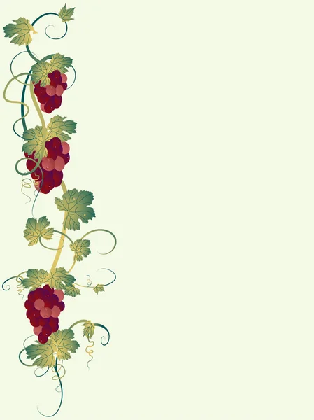 Виноградна лоза — стоковий вектор