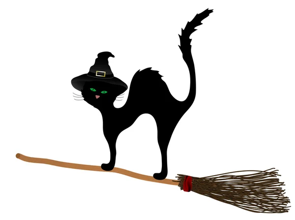 Cat on the broom — Stock Vector