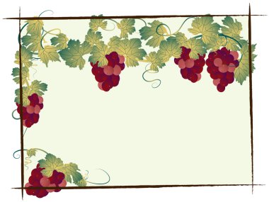 Grapevine clipart