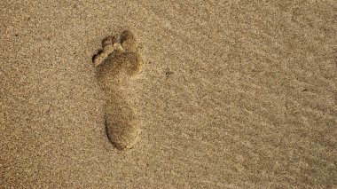 Footprint clipart