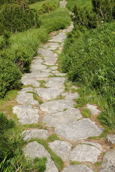 stock image Stone path with green grass
