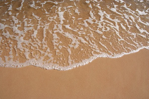 stock image Foam bathing the beach shoreline