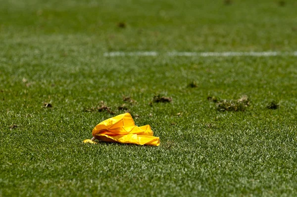 Piórniki żółta flaga na zielonej trawie — Zdjęcie stockowe
