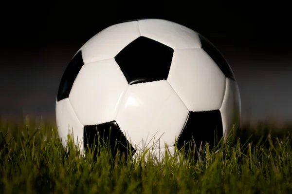 Futbol topu çimlerin üzerinde - Stok İmaj