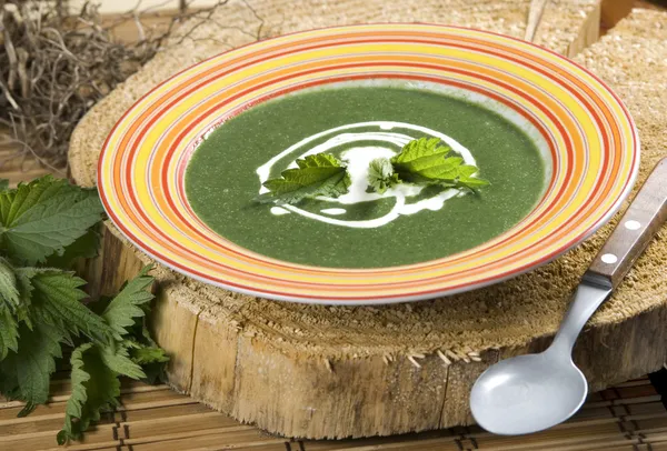 Nettle soup — Stock Photo, Image