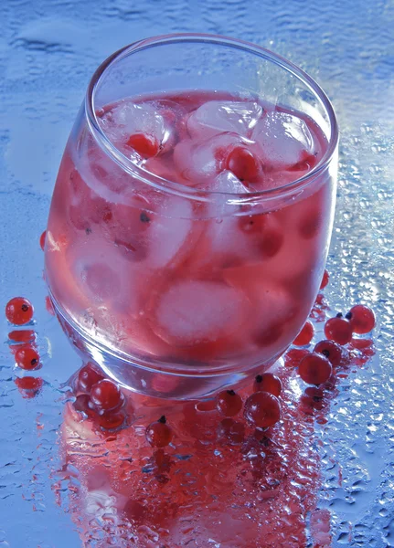 Red currant drink — Stock Photo, Image
