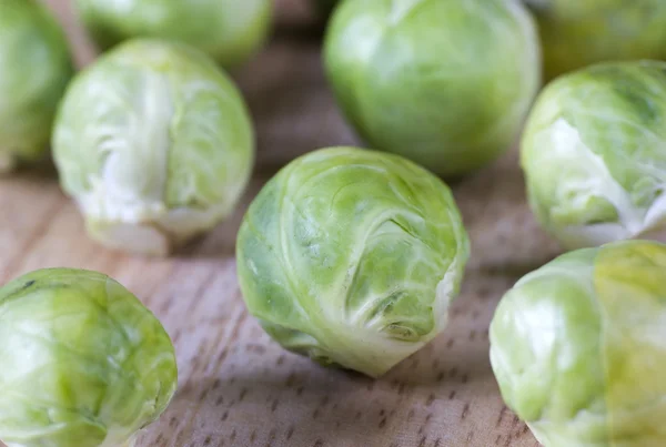 stock image Brussel sprout