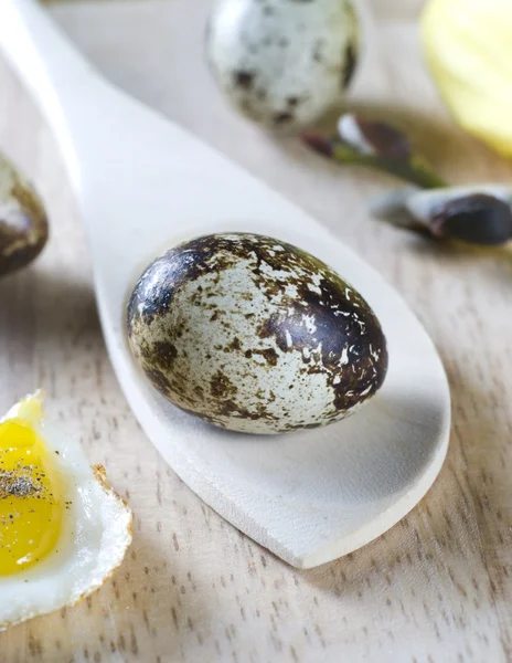 Easter eggs of a quail with — Stock Photo, Image