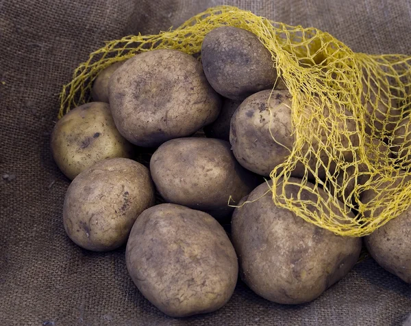 The potatoes Stock Image