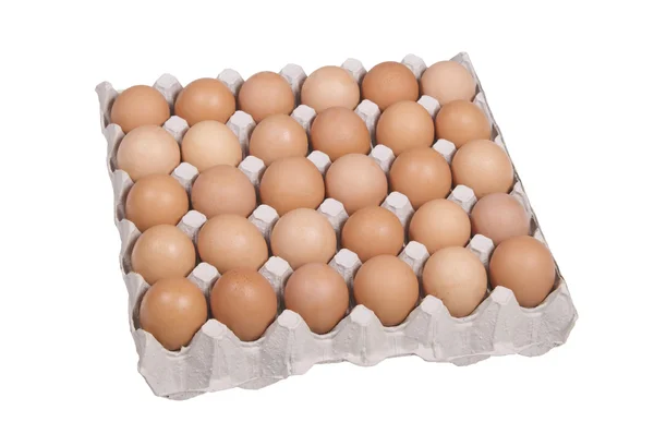 stock image Eggs