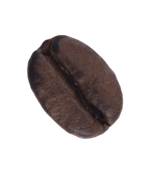 Stock image Coffee bean