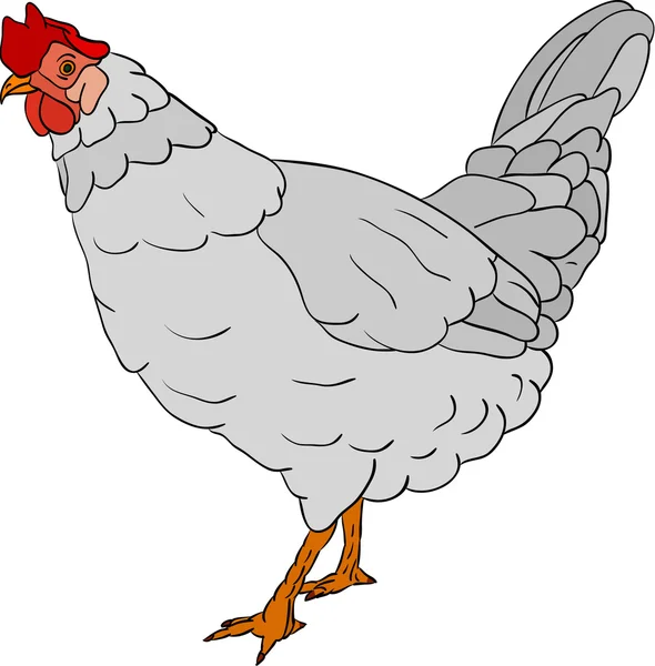 Cor da galinha — Vetor de Stock