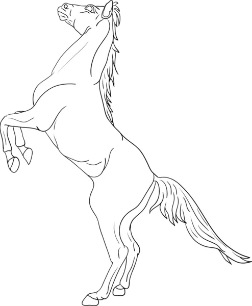 Paard — Stockvector