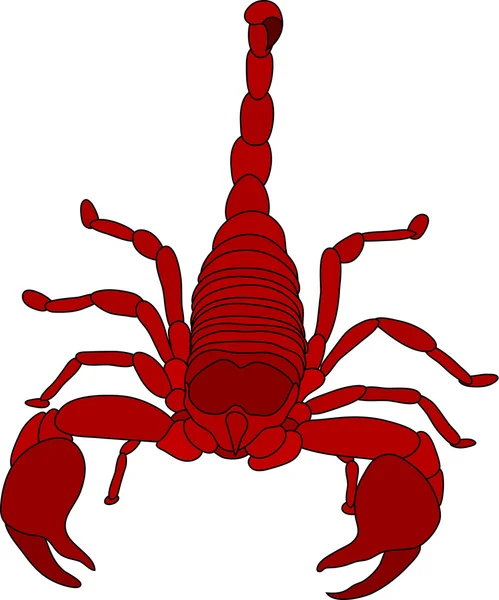 Scorpion — Stockový vektor
