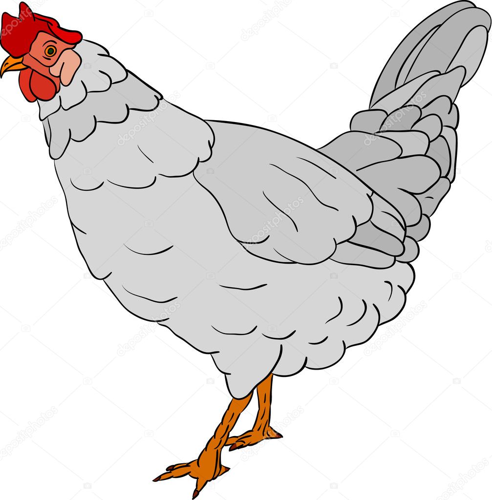 Hen color ⬇ Vector Image by © pavelmidi | Vector Stock 2742739