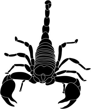 Scorpion clipart