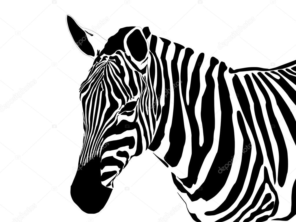 Animales blanco negro imágenes de stock de arte vectorial | Depositphotos