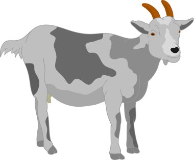 Goat clipart