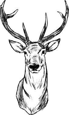 Deer clipart