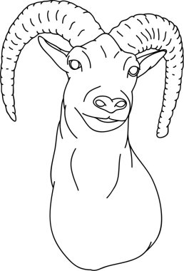 Mouflon clipart