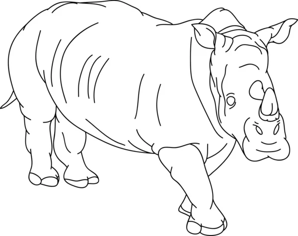 Rhino — Stock Vector