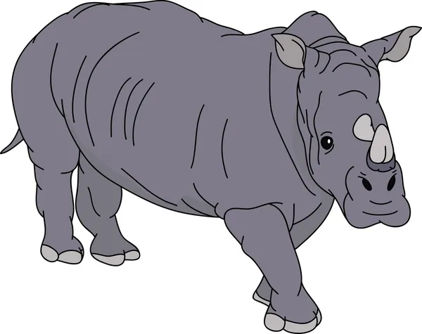 Rhino. — Vector de stock