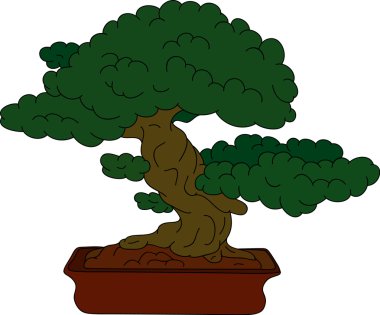 Bonsai