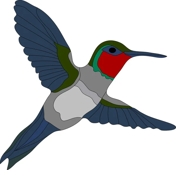 Kolibrie — Stockvector
