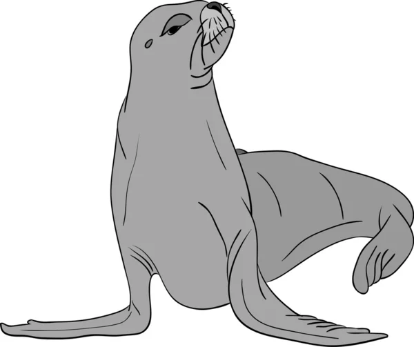 Sea-lion — Stock Vector