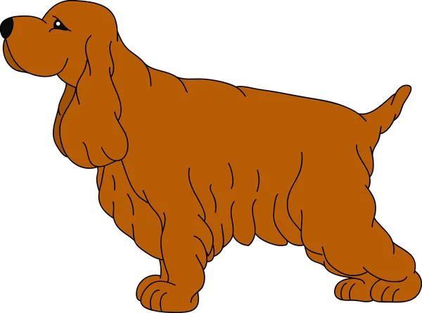 Hond — Stockvector