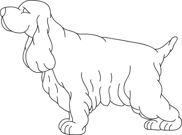 可卡犬 — 图库矢量图片