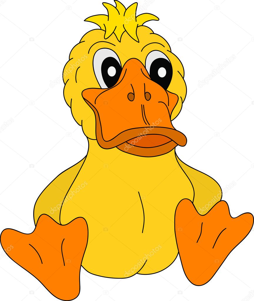 Duck — Stock Vector © pavelmidi #3836718