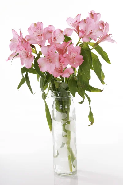 Vaso de lírios rosa — Fotografia de Stock