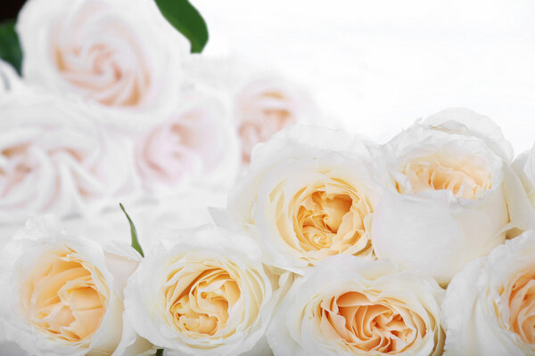 Bunch of White roses with yellow centers, type space available