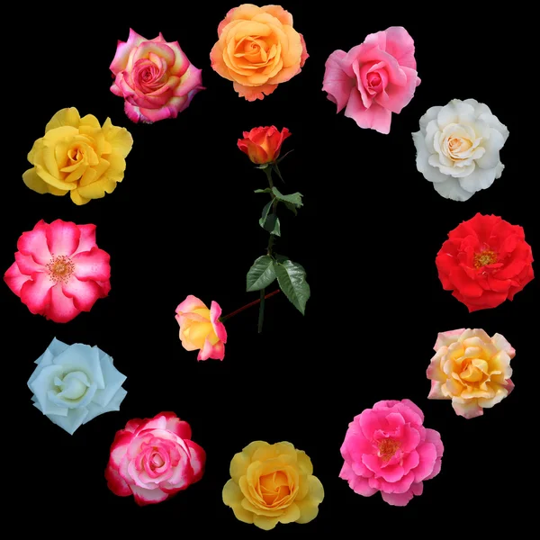 钟面所作的玫瑰 — 图库照片