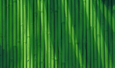 Abstract bamboo background clipart