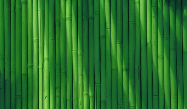 stock image Abstract bamboo background