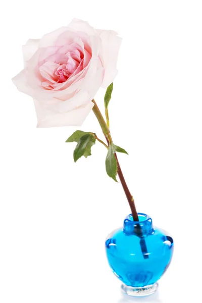 蓝色花瓶里单粉红玫瑰 — 图库照片