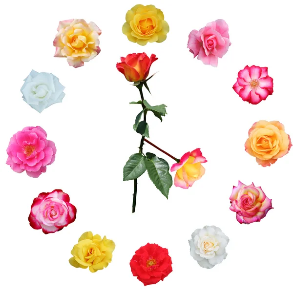 Часы на лице из роз — стоковое фото
