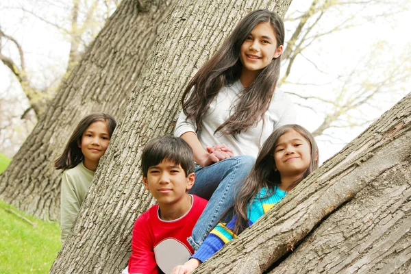 Quatro crianças em uma árvore — Fotografia de Stock