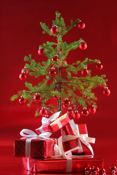 Zarif kırmızı hediyeler ağacının altında — Stok fotoğraf