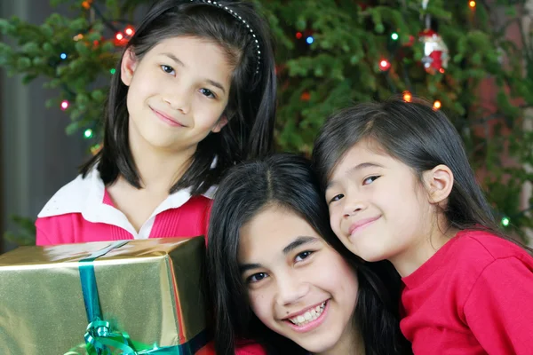 三个快乐姐妹与圣诞节介绍 — 图库照片