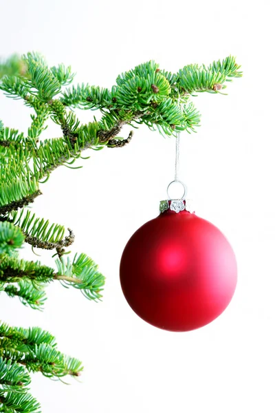 Roter Schmuck hängt am Weihnachtsbaum. — Stockfoto