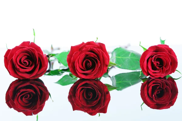 Drie rode rozen geïsoleerd op reflecterend oppervlak. — Stockfoto