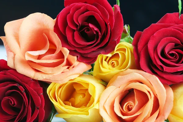 Rood, geel en perzik kleur rozen met zwarte bac — Stockfoto