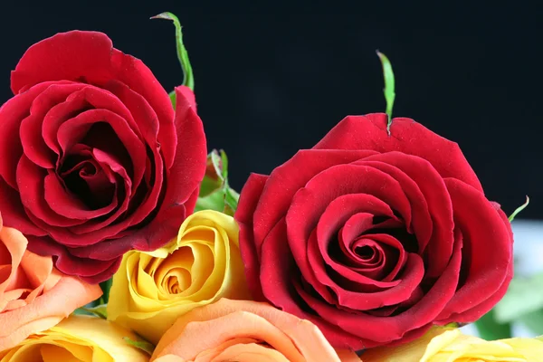Rosas vermelhas, amarelas e cor de pêssego com bac preto — Fotografia de Stock